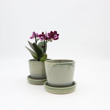 Load image into Gallery viewer, Planter, small with a dish
