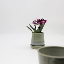 Load image into Gallery viewer, Planter with a dish
